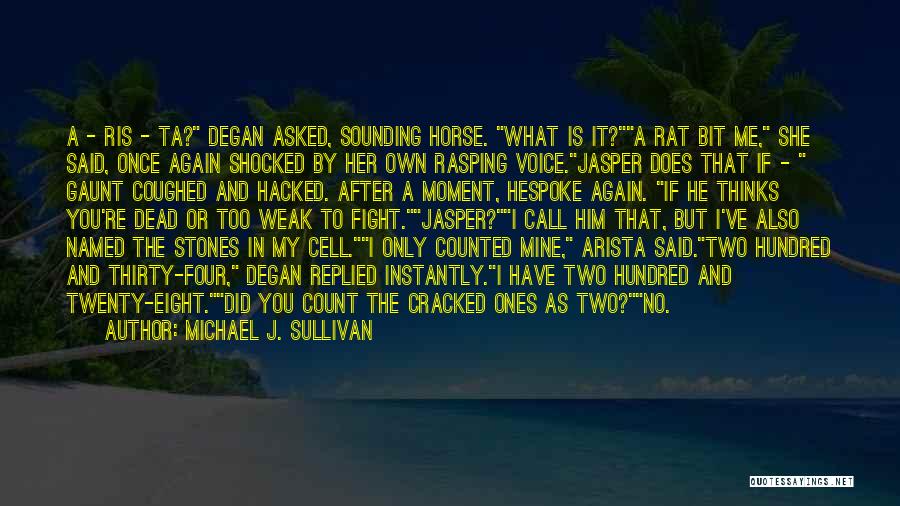 Michael J. Sullivan Quotes: A - Ris - Ta? Degan Asked, Sounding Horse. What Is It?a Rat Bit Me, She Said, Once Again Shocked