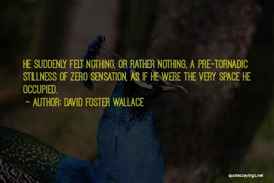 David Foster Wallace Quotes: He Suddenly Felt Nothing, Or Rather Nothing, A Pre-tornadic Stillness Of Zero Sensation, As If He Were The Very Space