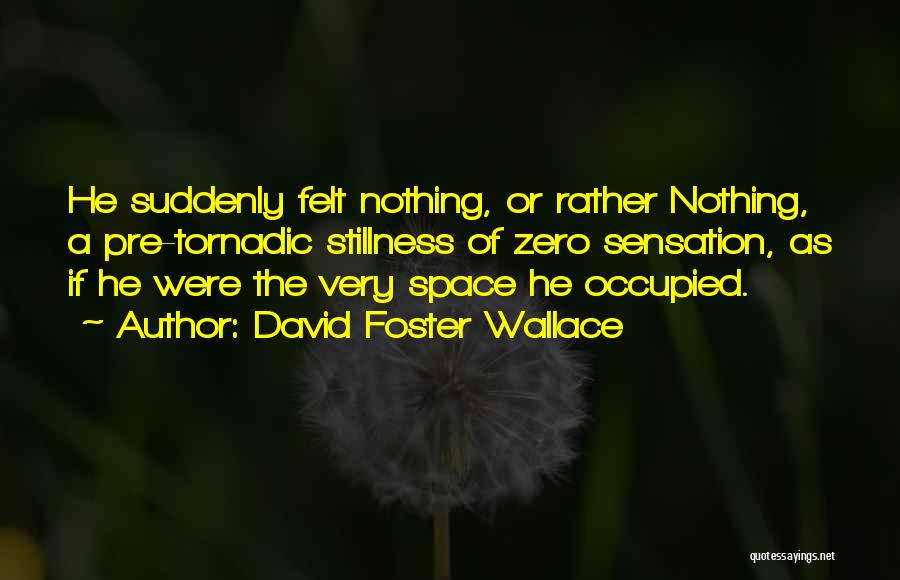 David Foster Wallace Quotes: He Suddenly Felt Nothing, Or Rather Nothing, A Pre-tornadic Stillness Of Zero Sensation, As If He Were The Very Space