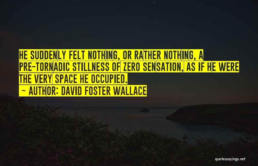 David Foster Wallace Quotes: He Suddenly Felt Nothing, Or Rather Nothing, A Pre-tornadic Stillness Of Zero Sensation, As If He Were The Very Space
