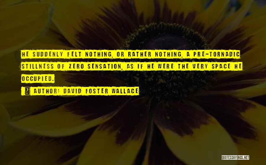 David Foster Wallace Quotes: He Suddenly Felt Nothing, Or Rather Nothing, A Pre-tornadic Stillness Of Zero Sensation, As If He Were The Very Space