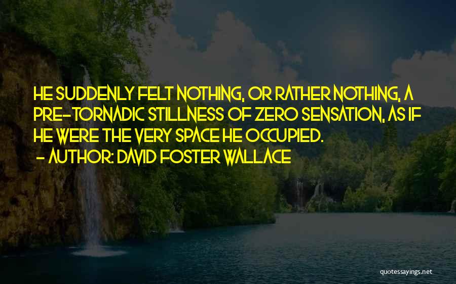 David Foster Wallace Quotes: He Suddenly Felt Nothing, Or Rather Nothing, A Pre-tornadic Stillness Of Zero Sensation, As If He Were The Very Space