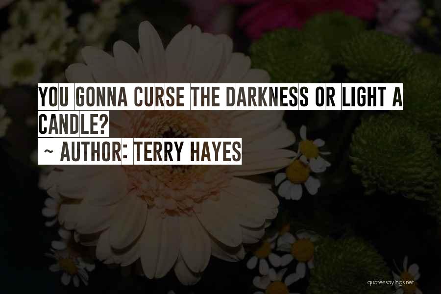 Terry Hayes Quotes: You Gonna Curse The Darkness Or Light A Candle?