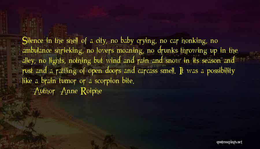 Anne Roiphe Quotes: Silence In The Shell Of A City, No Baby Crying, No Car Honking, No Ambulance Shrieking, No Lovers Moaning, No