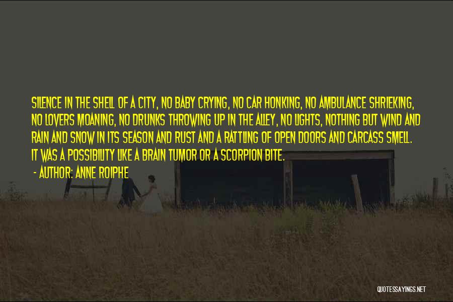 Anne Roiphe Quotes: Silence In The Shell Of A City, No Baby Crying, No Car Honking, No Ambulance Shrieking, No Lovers Moaning, No