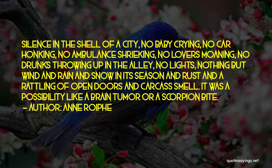 Anne Roiphe Quotes: Silence In The Shell Of A City, No Baby Crying, No Car Honking, No Ambulance Shrieking, No Lovers Moaning, No