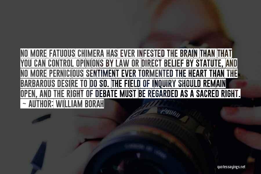 William Borah Quotes: No More Fatuous Chimera Has Ever Infested The Brain Than That You Can Control Opinions By Law Or Direct Belief