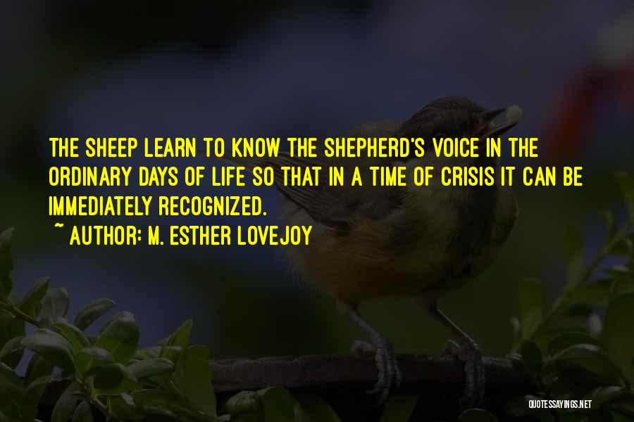 M. Esther Lovejoy Quotes: The Sheep Learn To Know The Shepherd's Voice In The Ordinary Days Of Life So That In A Time Of