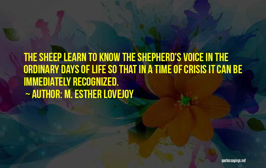 M. Esther Lovejoy Quotes: The Sheep Learn To Know The Shepherd's Voice In The Ordinary Days Of Life So That In A Time Of