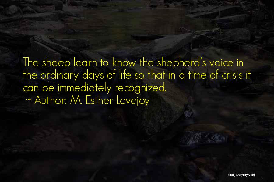 M. Esther Lovejoy Quotes: The Sheep Learn To Know The Shepherd's Voice In The Ordinary Days Of Life So That In A Time Of