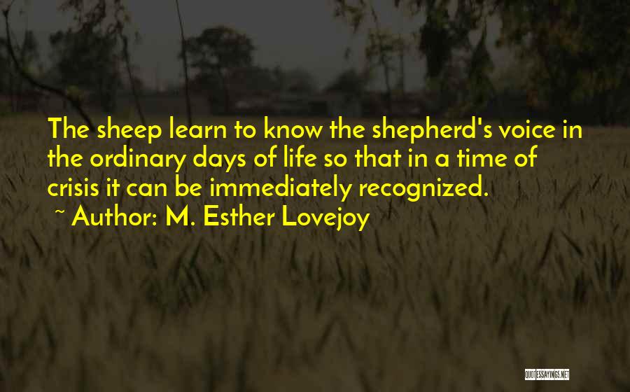 M. Esther Lovejoy Quotes: The Sheep Learn To Know The Shepherd's Voice In The Ordinary Days Of Life So That In A Time Of