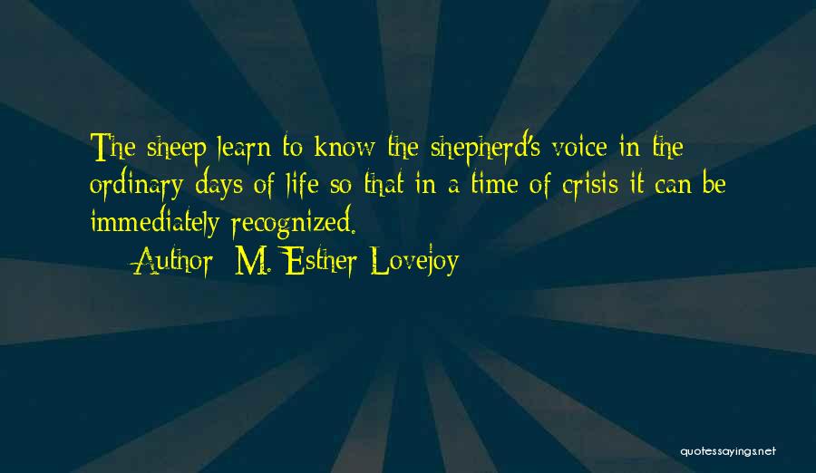 M. Esther Lovejoy Quotes: The Sheep Learn To Know The Shepherd's Voice In The Ordinary Days Of Life So That In A Time Of