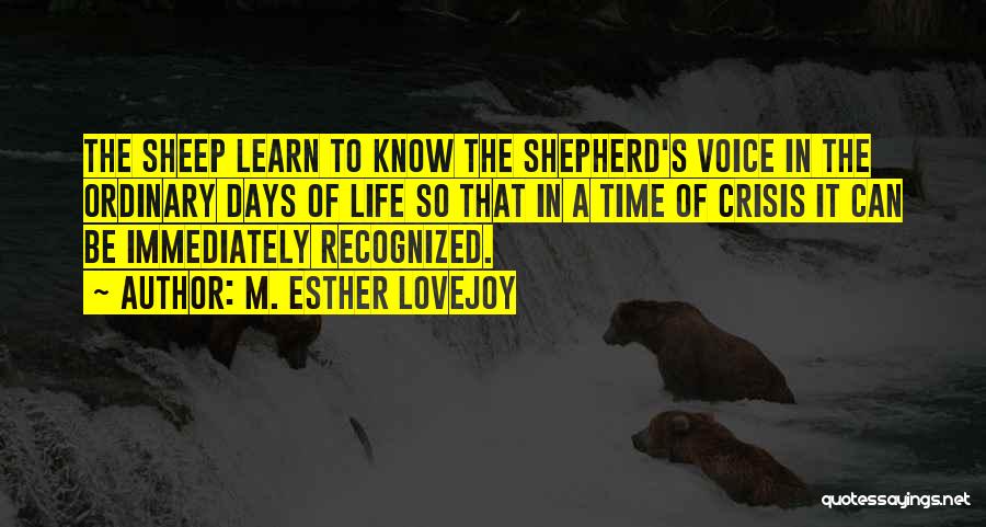 M. Esther Lovejoy Quotes: The Sheep Learn To Know The Shepherd's Voice In The Ordinary Days Of Life So That In A Time Of