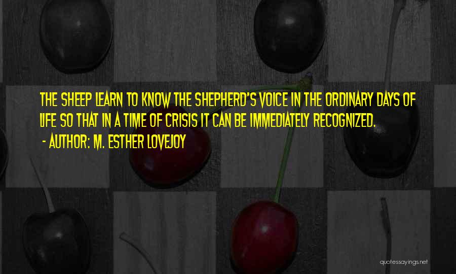 M. Esther Lovejoy Quotes: The Sheep Learn To Know The Shepherd's Voice In The Ordinary Days Of Life So That In A Time Of