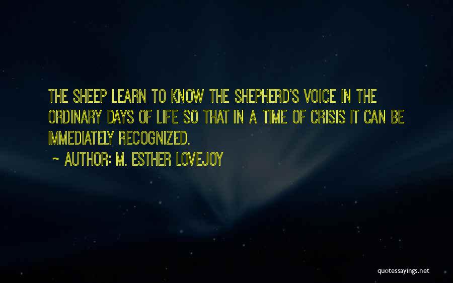 M. Esther Lovejoy Quotes: The Sheep Learn To Know The Shepherd's Voice In The Ordinary Days Of Life So That In A Time Of