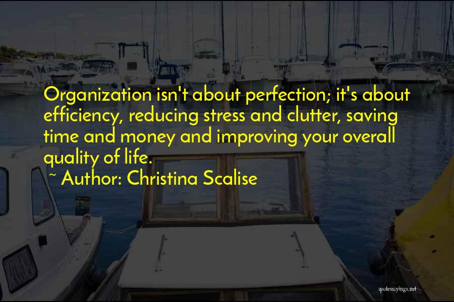 Christina Scalise Quotes: Organization Isn't About Perfection; It's About Efficiency, Reducing Stress And Clutter, Saving Time And Money And Improving Your Overall Quality