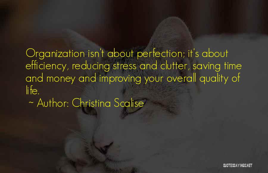 Christina Scalise Quotes: Organization Isn't About Perfection; It's About Efficiency, Reducing Stress And Clutter, Saving Time And Money And Improving Your Overall Quality