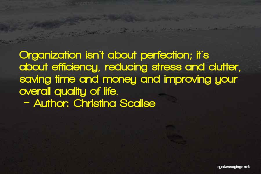 Christina Scalise Quotes: Organization Isn't About Perfection; It's About Efficiency, Reducing Stress And Clutter, Saving Time And Money And Improving Your Overall Quality