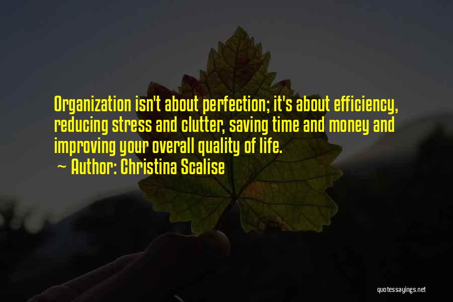 Christina Scalise Quotes: Organization Isn't About Perfection; It's About Efficiency, Reducing Stress And Clutter, Saving Time And Money And Improving Your Overall Quality
