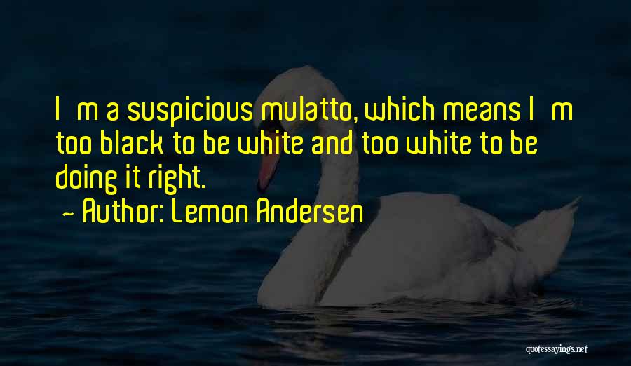 Lemon Andersen Quotes: I'm A Suspicious Mulatto, Which Means I'm Too Black To Be White And Too White To Be Doing It Right.