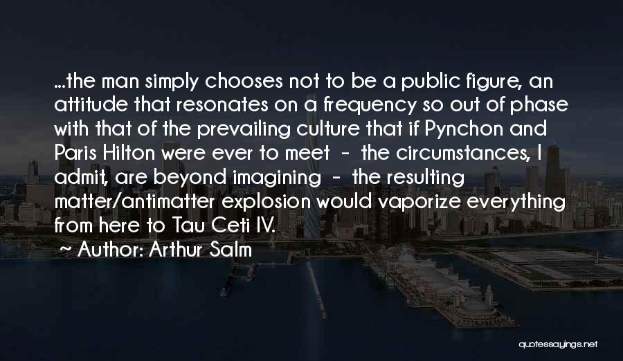 Arthur Salm Quotes: ...the Man Simply Chooses Not To Be A Public Figure, An Attitude That Resonates On A Frequency So Out Of