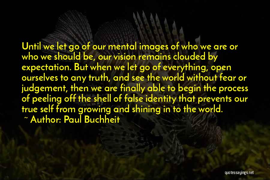 Paul Buchheit Quotes: Until We Let Go Of Our Mental Images Of Who We Are Or Who We Should Be, Our Vision Remains