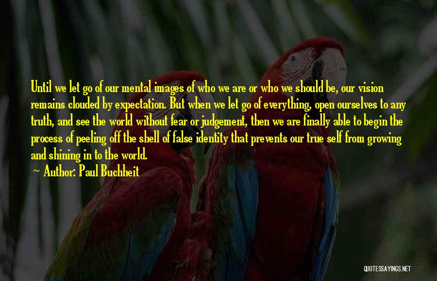 Paul Buchheit Quotes: Until We Let Go Of Our Mental Images Of Who We Are Or Who We Should Be, Our Vision Remains