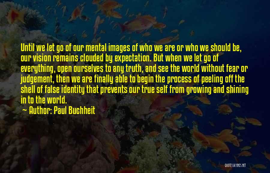 Paul Buchheit Quotes: Until We Let Go Of Our Mental Images Of Who We Are Or Who We Should Be, Our Vision Remains