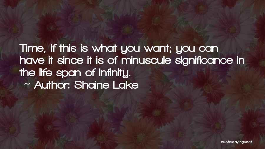 Shaine Lake Quotes: Time, If This Is What You Want; You Can Have It Since It Is Of Minuscule Significance In The Life