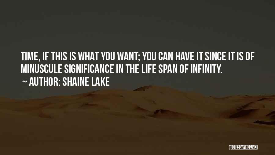 Shaine Lake Quotes: Time, If This Is What You Want; You Can Have It Since It Is Of Minuscule Significance In The Life