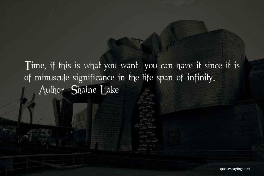 Shaine Lake Quotes: Time, If This Is What You Want; You Can Have It Since It Is Of Minuscule Significance In The Life