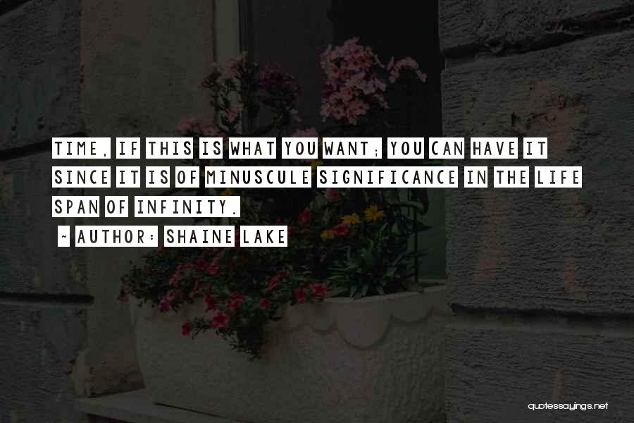 Shaine Lake Quotes: Time, If This Is What You Want; You Can Have It Since It Is Of Minuscule Significance In The Life