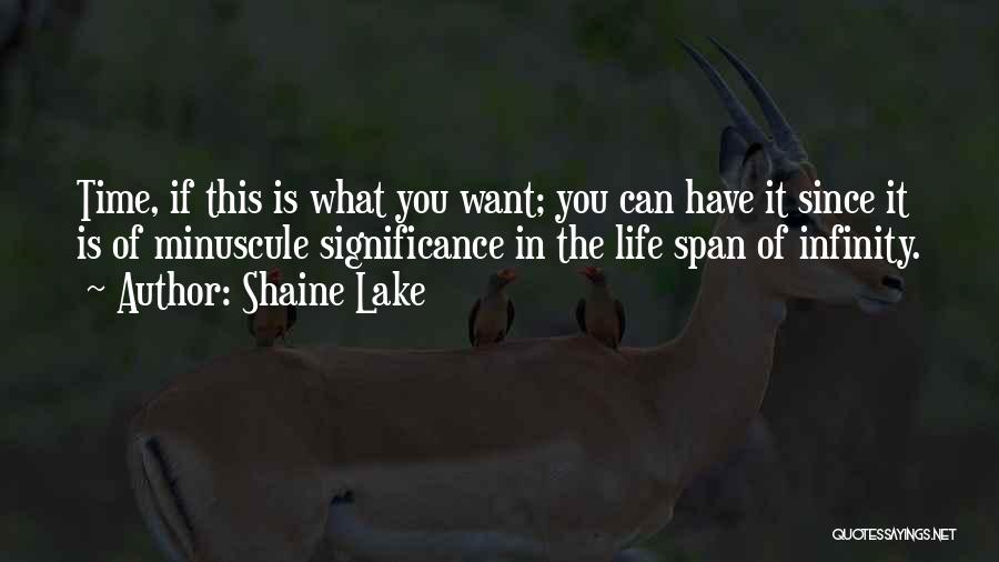 Shaine Lake Quotes: Time, If This Is What You Want; You Can Have It Since It Is Of Minuscule Significance In The Life