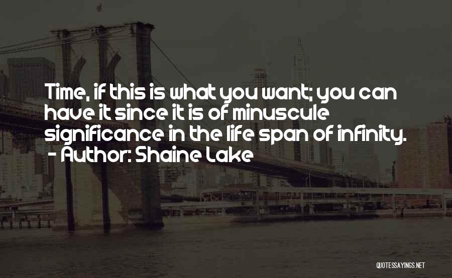 Shaine Lake Quotes: Time, If This Is What You Want; You Can Have It Since It Is Of Minuscule Significance In The Life