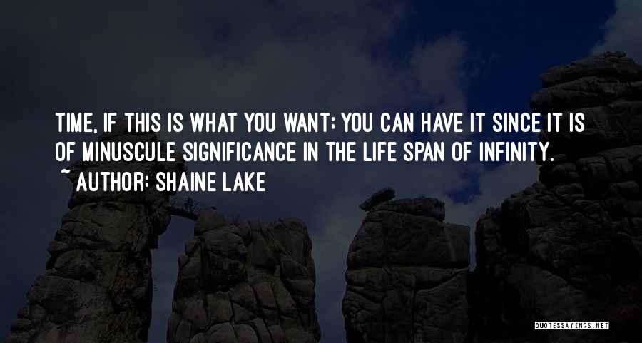 Shaine Lake Quotes: Time, If This Is What You Want; You Can Have It Since It Is Of Minuscule Significance In The Life