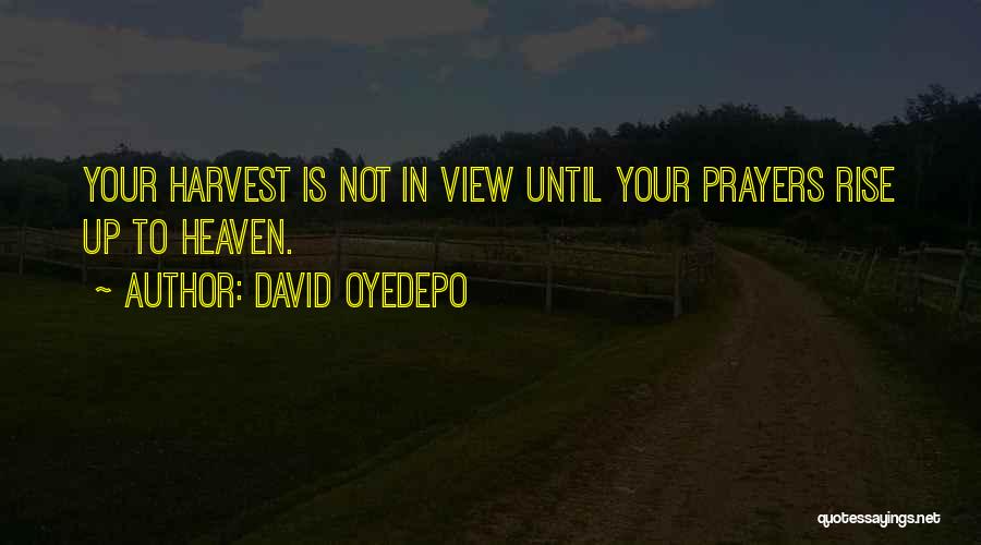 David Oyedepo Quotes: Your Harvest Is Not In View Until Your Prayers Rise Up To Heaven.