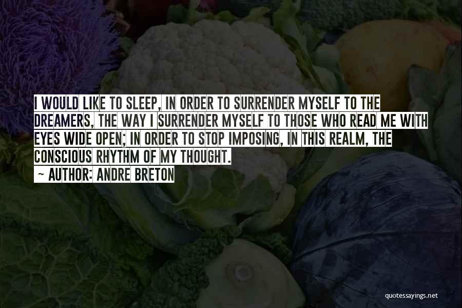 Andre Breton Quotes: I Would Like To Sleep, In Order To Surrender Myself To The Dreamers, The Way I Surrender Myself To Those