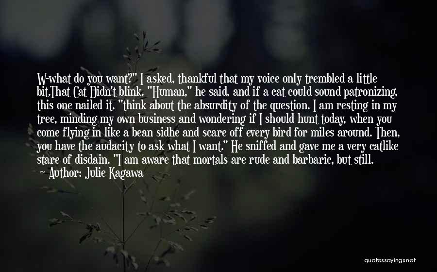 Julie Kagawa Quotes: W-what Do You Want? I Asked, Thankful That My Voice Only Trembled A Little Bit.that Cat Didn't Blink. Human, He