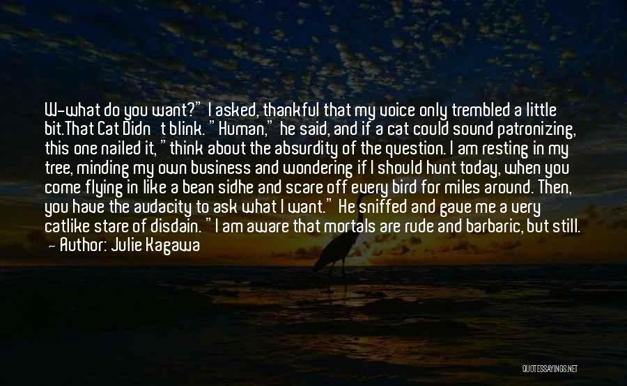 Julie Kagawa Quotes: W-what Do You Want? I Asked, Thankful That My Voice Only Trembled A Little Bit.that Cat Didn't Blink. Human, He