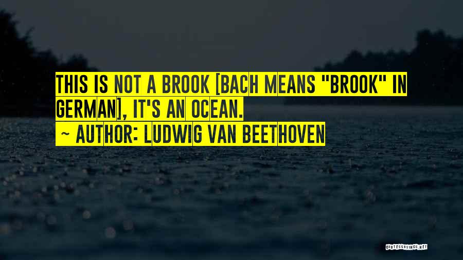 Ludwig Van Beethoven Quotes: This Is Not A Brook [bach Means Brook In German], It's An Ocean.