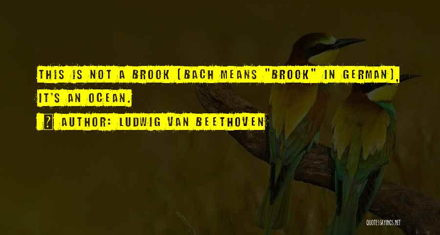 Ludwig Van Beethoven Quotes: This Is Not A Brook [bach Means Brook In German], It's An Ocean.