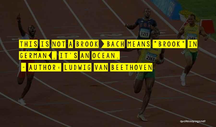 Ludwig Van Beethoven Quotes: This Is Not A Brook [bach Means Brook In German], It's An Ocean.