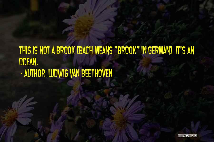 Ludwig Van Beethoven Quotes: This Is Not A Brook [bach Means Brook In German], It's An Ocean.
