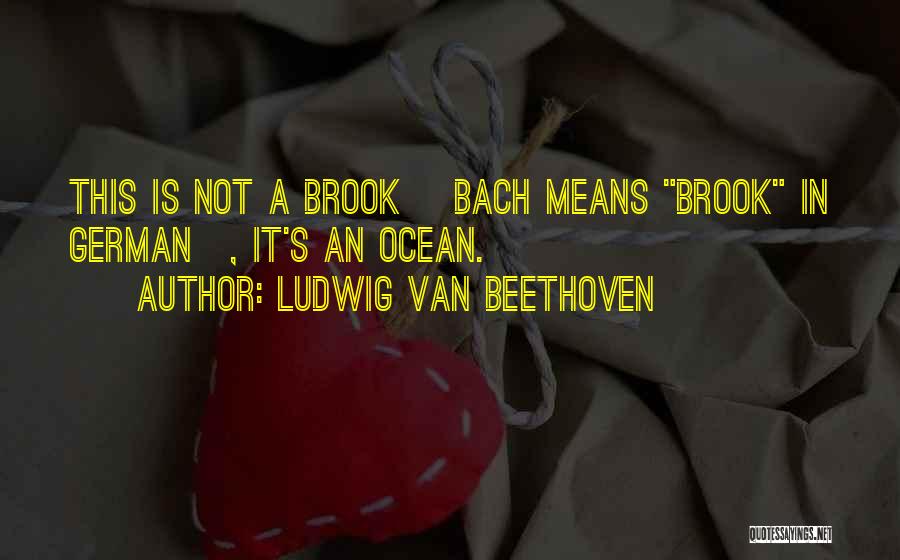 Ludwig Van Beethoven Quotes: This Is Not A Brook [bach Means Brook In German], It's An Ocean.