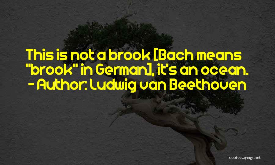 Ludwig Van Beethoven Quotes: This Is Not A Brook [bach Means Brook In German], It's An Ocean.