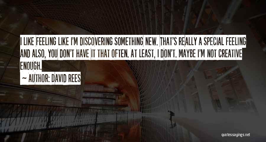 David Rees Quotes: I Like Feeling Like I'm Discovering Something New. That's Really A Special Feeling And Also, You Don't Have It That