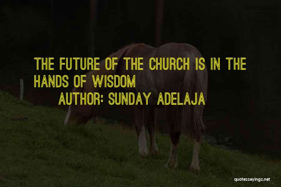 Sunday Adelaja Quotes: The Future Of The Church Is In The Hands Of Wisdom