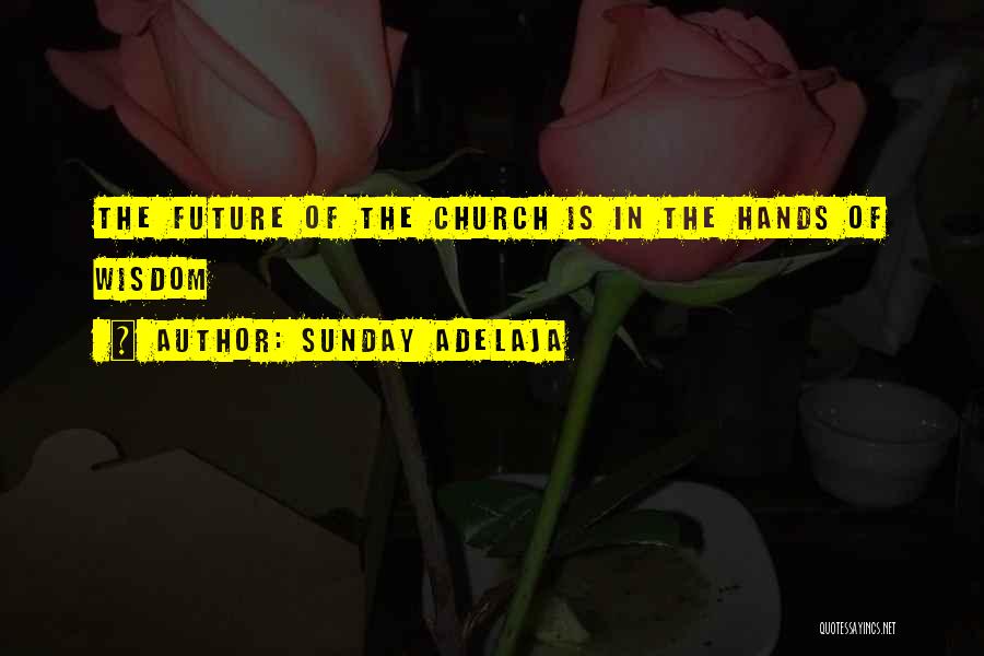 Sunday Adelaja Quotes: The Future Of The Church Is In The Hands Of Wisdom