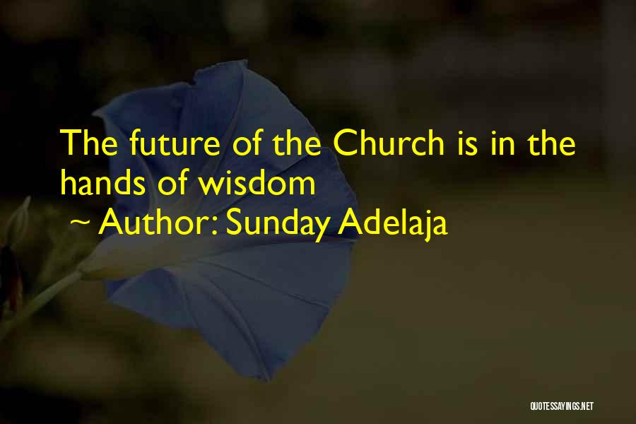 Sunday Adelaja Quotes: The Future Of The Church Is In The Hands Of Wisdom