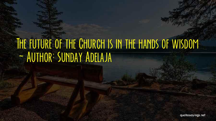 Sunday Adelaja Quotes: The Future Of The Church Is In The Hands Of Wisdom